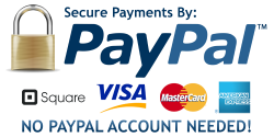 Secure-Payment-by-Paypal